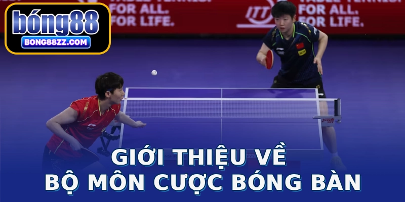 Giới thiệu về bộ môn cược bóng bàn