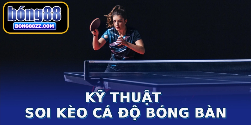 Kỹ thuật soi kèo cá độ bóng bàn